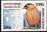 Brahminy Starling Sturnia pagodarum  2000 Birds 