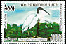 Black-headed Ibis Threskiornis melanocephalus  2006 Birds 