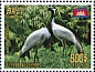 Demoiselle Crane Grus virgo