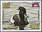 Tufted Duck Aythya fuligula  2020 Birds 