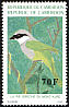 Mount Kupe Bushshrike Chlorophoneus kupeensis  1991 Birds 