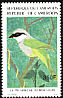 Mount Kupe Bushshrike Chlorophoneus kupeensis