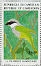 Mount Kupe Bushshrike Chlorophoneus kupeensis