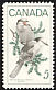 Canada Jay Perisoreus canadensis  1968 Wildlife 