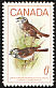 White-throated Sparrow Zonotrichia albicollis  1969 Birds 