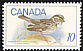 Savannah Sparrow Passerculus sandwichensis  1969 Birds 