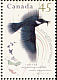 Belted Kingfisher Megaceryle alcyon  1995 Wildlife 4v sheet