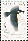 Belted Kingfisher Megaceryle alcyon  1995 Wildlife 4v sheet