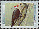Pileated Woodpecker Dryocopus pileatus  1996 Birds of Canada Sheet or strip
