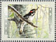 Hairy Woodpecker Leuconotopicus villosus  1998 Birds of Canada Sheet or strip