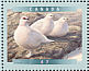 Rock Ptarmigan Lagopus muta