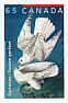 Gyrfalcon Falco rusticolus  2003 Audubon Booklet, sa