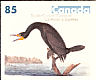 Double-crested Cormorant Nannopterum auritum  2005 Audubon Booklet, sa