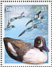 Barrow's Goldeneye Bucephala islandica  2006 Duck decoys Sheet with 4 sets