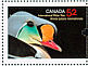 King Eider Somateria spectabilis  2007 International polar year 2v sheet