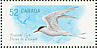 Roseate Tern Sterna dougallii  2008 Endangered species 4v sheet