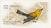 Prothonotary Warbler Protonotaria citrea