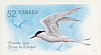 Roseate Tern Sterna dougallii  2008 Endangered species Booklet, sa