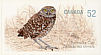 Burrowing Owl Athene cunicularia  2008 Endangered species Booklet, sa