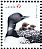 Common Loon Gavia immer  2017 Birds of Canada Sheet