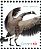Canada Goose Branta canadensis  2018 Birds of Canada, IOC Sheet