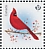 Northern Cardinal Cardinalis cardinalis  2022 Christmas Sheet