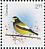 Evening Grosbeak Hesperiphona vespertina