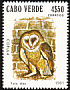 Western Barn Owl Tyto alba