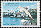 Red-billed Tropicbird Phaethon aethereus