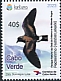 Cape Verde Storm Petrel Hydrobates jabejabe