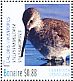 Stilt Sandpiper Calidris himantopus  2016 Birds of Bonaire Sheet