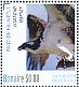Western Osprey Pandion haliaetus  2016 Birds of Bonaire Sheet
