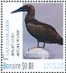 Brown Booby Sula leucogaster  2016 Birds of Bonaire Sheet