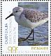 Sanderling Calidris alba  2018 Birds of Bonaire Sheet