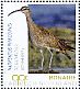 Eurasian Whimbrel Numenius phaeopus  2018 Birds of Bonaire Sheet