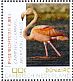 American Flamingo Phoenicopterus ruber  2018 Birds of Bonaire Sheet