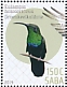 Green-throated Carib Eulampis holosericeus  2019 Birds (Saba) Sheet