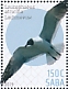 Laughing Gull Leucophaeus atricilla  2019 Birds (Saba) Sheet