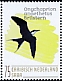 Bridled Tern Onychoprion anaethetus  2020 Birds (Saba) 
