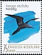 Brown Noddy Anous stolidus  2020 Birds (Saba) 