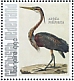 Purple Heron Ardea purpurea  2021 Birds (Bonaire) 2021 Sheet