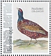 Common Pheasant Phasianus colchicus  2021 Birds (Bonaire) 2021 Sheet