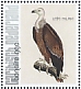 Griffon Vulture Gyps fulvus  2021 Birds (Bonaire) 2021 Sheet