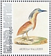 Squacco Heron Ardeola ralloides  2021 Birds (Bonaire) 2021 Sheet