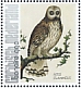 Short-eared Owl Asio flammeus  2021 Birds (Bonaire) 2021 Sheet