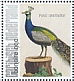 Indian Peafowl Pavo cristatus  2021 Birds (Bonaire) 2021 Sheet