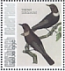 Ring Ouzel Turdus torquatus  2021 Birds (Saba) 2021 Sheet