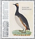 Black-necked Grebe Podiceps nigricollis  2021 Birds (Saba) 2021 Sheet