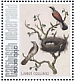 Red-backed Shrike Lanius collurio  2021 Birds (Saba) 2021 Sheet