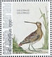 Common Snipe Gallinago gallinago  2021 Birds (St Eustatius) 2021 Sheet